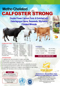 CALFOSTER STRONG