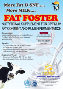 FAT FOSTER