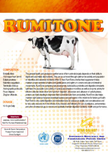 RUMITONE