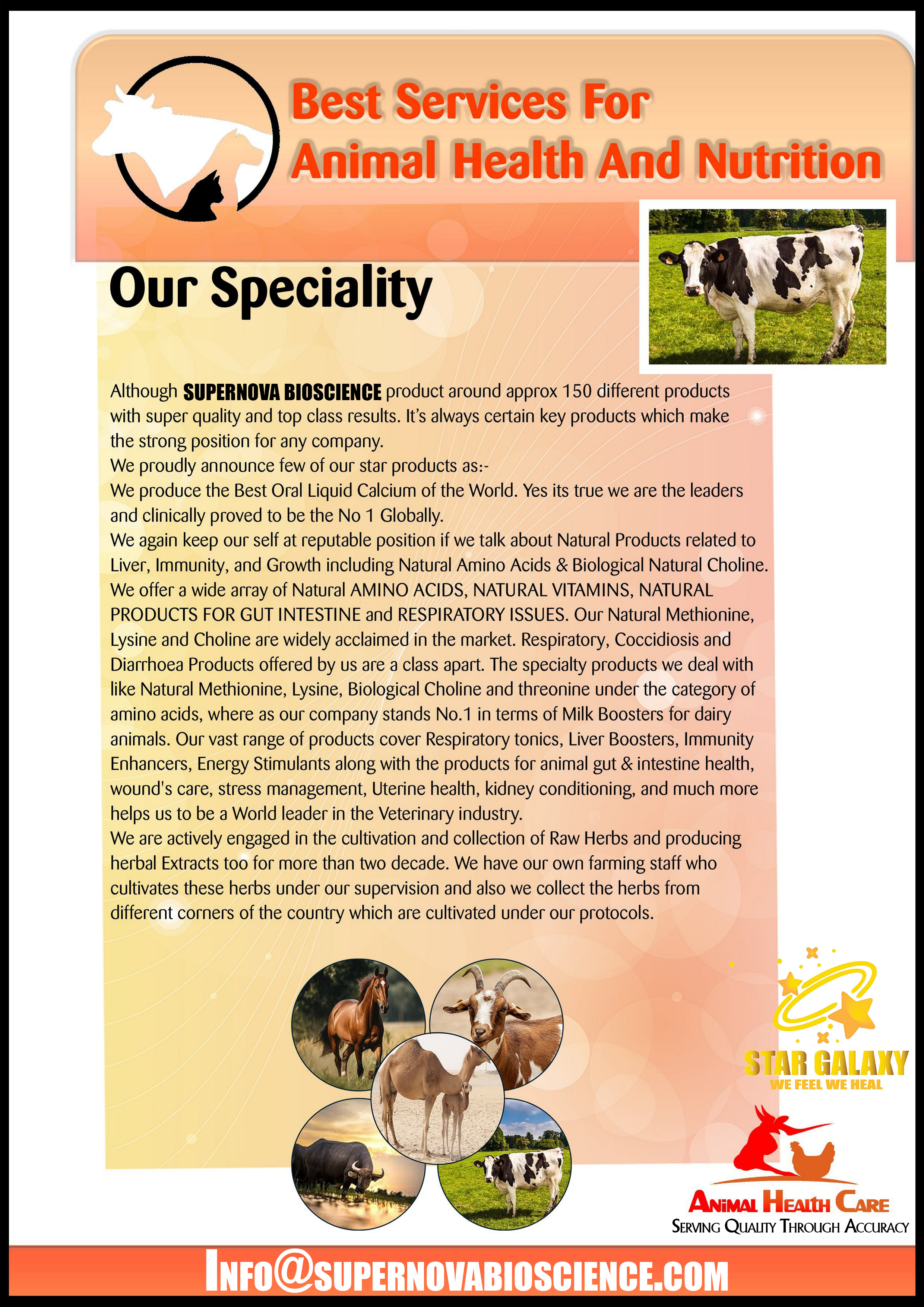 speciality